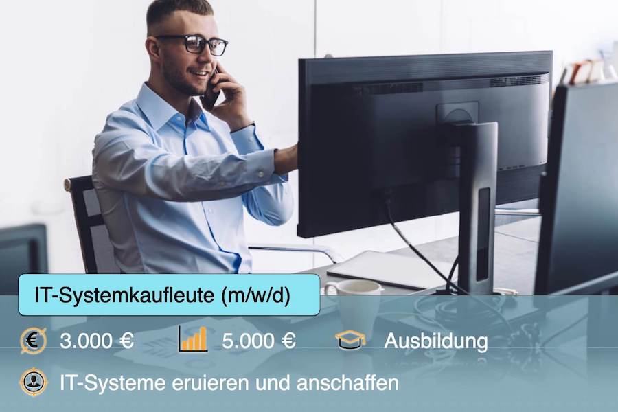 IT-Systemkaufleute
