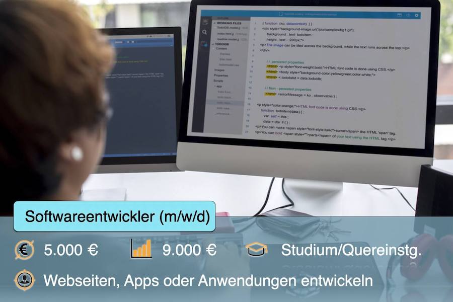 Softwareentwickler