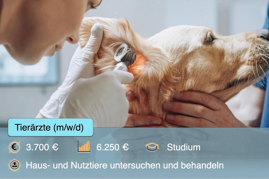 Tierärzte