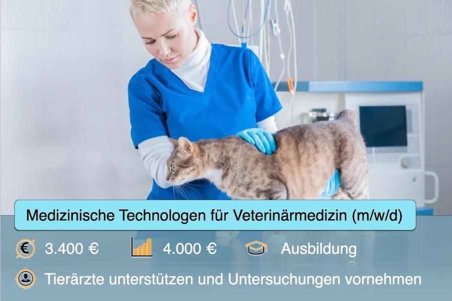 Medizinische Technologen für Veterinärmedizin